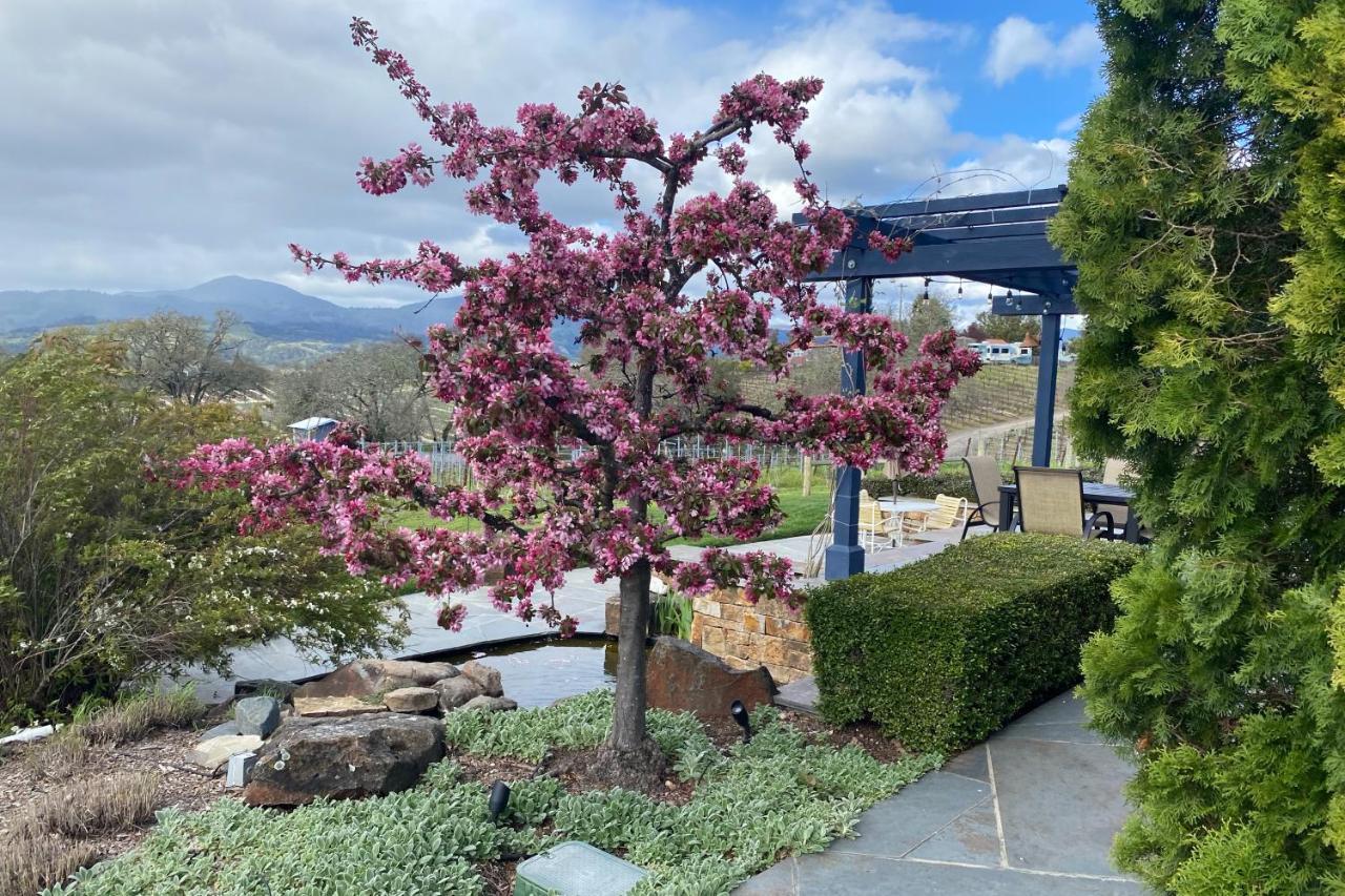 Alexander Valley Retreat Healdsburg Zewnętrze zdjęcie