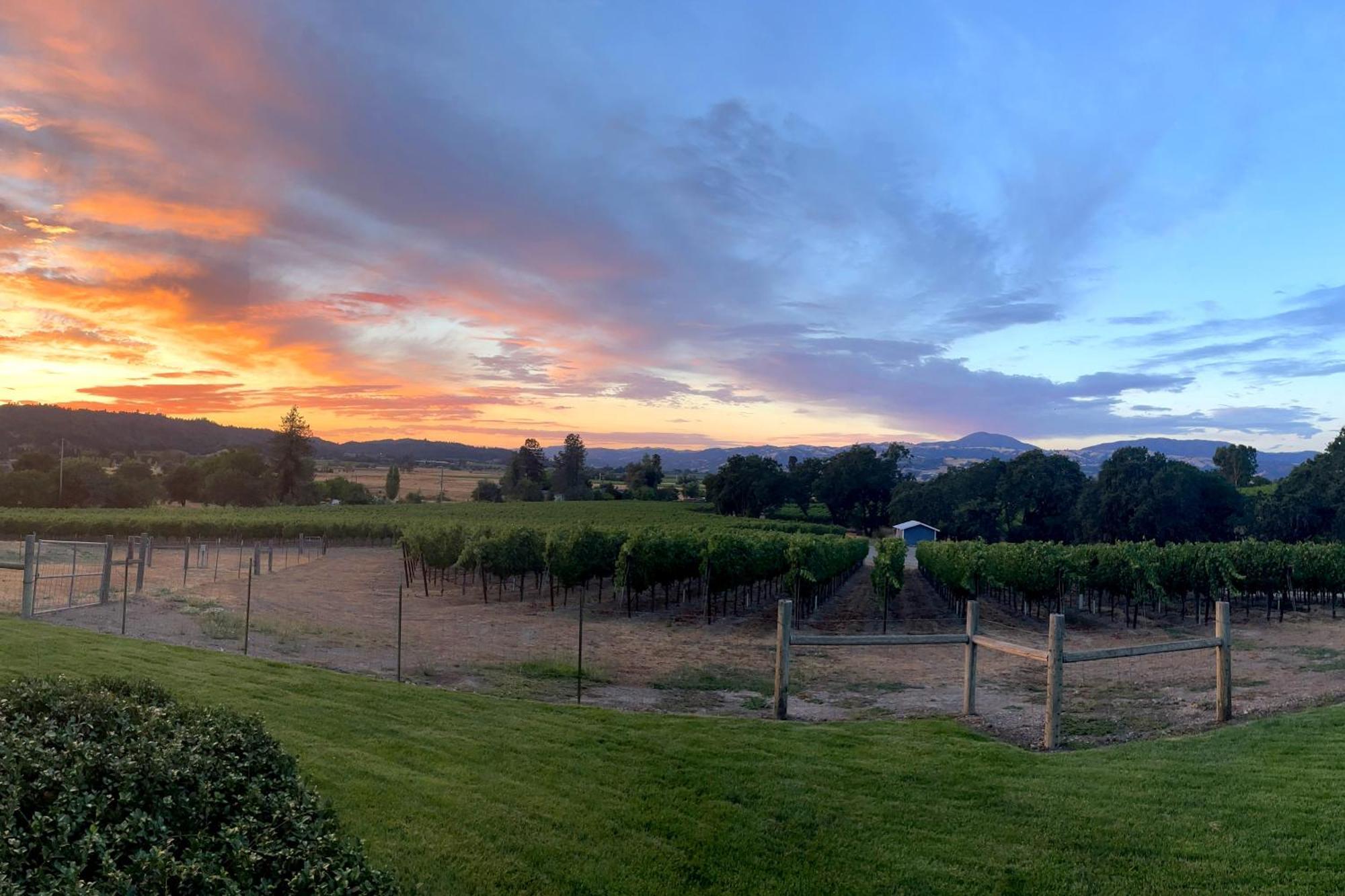 Alexander Valley Retreat Healdsburg Zewnętrze zdjęcie